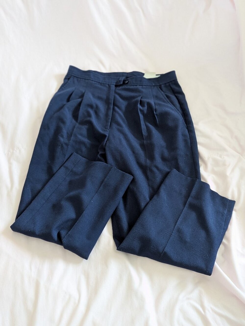 Elizabeth Hager Blue Pleated Dress Pants Sz 10